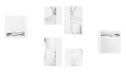 foto4_250x154_crop_478b24840a