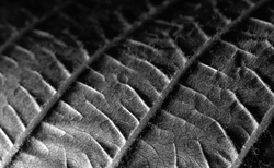 foto7_250x154_crop_478b24840a