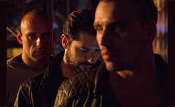 s-lice-3_250x154_crop_478b24840a