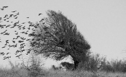 dsc02140web_250x154_crop_478b24840a