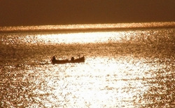 dsc02486-web_250x154_crop_478b24840a