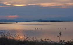 nasledstva-03_250x154_crop_478b24840a