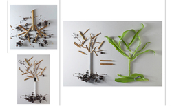 st02_250x154_crop_478b24840a