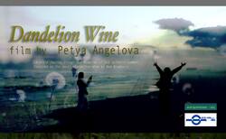 12045209-10153124818286680-4869382236921855760-o_250x154_crop_478b24840a