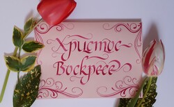 20210420-153333-2_250x154_crop_478b24840a