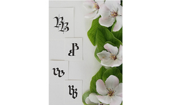 vanesa-videnova-f100662_250x154_crop_478b24840a