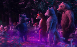 image-06_250x154_crop_478b24840a