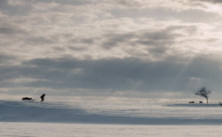 aga-still-2_250x154_crop_478b24840a