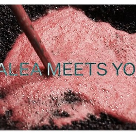 rosalea-meets-youth-divinobg_280x280_crop_478b24840a