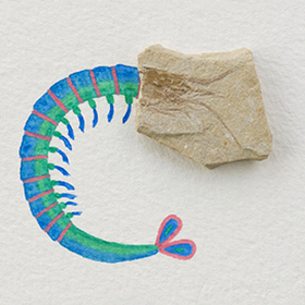 photo-36_280x280_crop_478b24840a