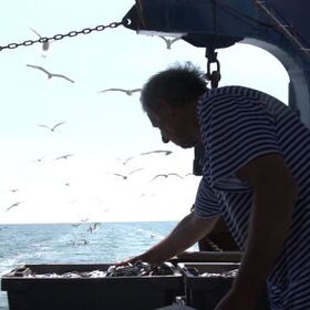 morqshki-istorii_280x280_crop_478b24840a