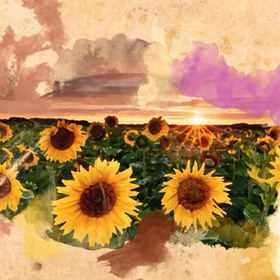 digitalni_280x280_crop_478b24840a