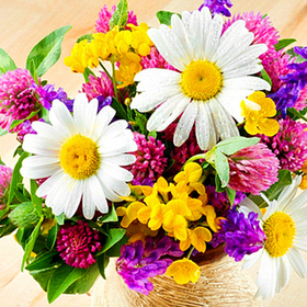 rozden_280x280_crop_478b24840a