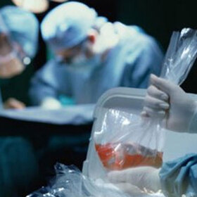 izkustvo-v-podkrepa-na-donorstvo_280x280_crop_478b24840a