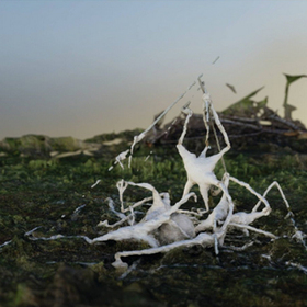 art-e-fiscal-intelligence-viaranews-com_280x280_crop_478b24840a