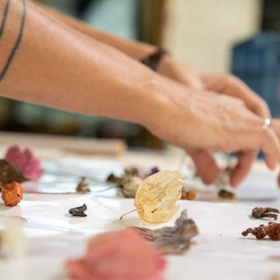 vtorichni-surovini-jasmin-bg_280x280_crop_478b24840a