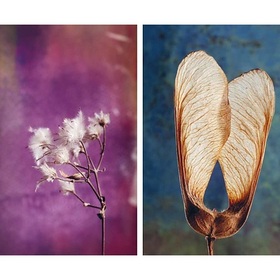 012_280x280_crop_478b24840a