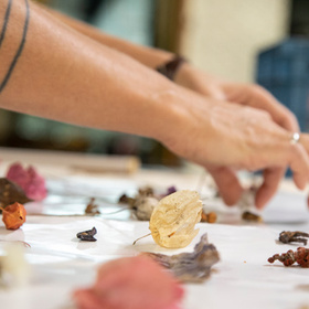 izljoba-vtorichni-surovini-sp-vij_280x280_crop_478b24840a