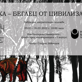 mechka-beglec_280x280_crop_478b24840a