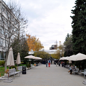 dsc0010_280x280_crop_478b24840a