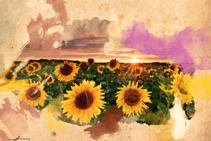 digitalni_300x200_crop_478b24840a