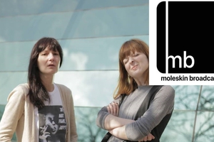 moleskin_300x200_crop_478b24840a