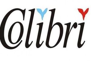 kolibri_300x200_crop_478b24840a