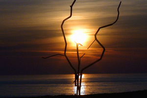 dsc00420web_300x200_crop_478b24840a