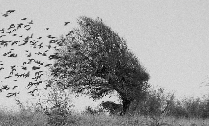 dsc02140web_678x410_crop_478b24840a