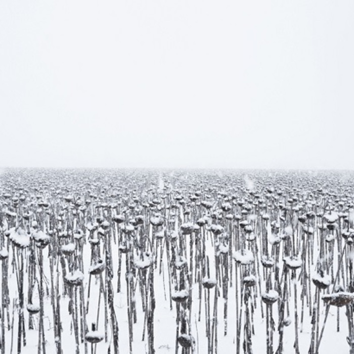 mejdunaroden-fotofestival-bta_700x700_crop_478b24840a