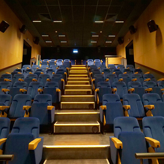 kino-salon-nbu_700x700_crop_478b24840a