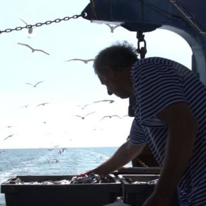 morqshki-istorii_700x700_crop_478b24840a