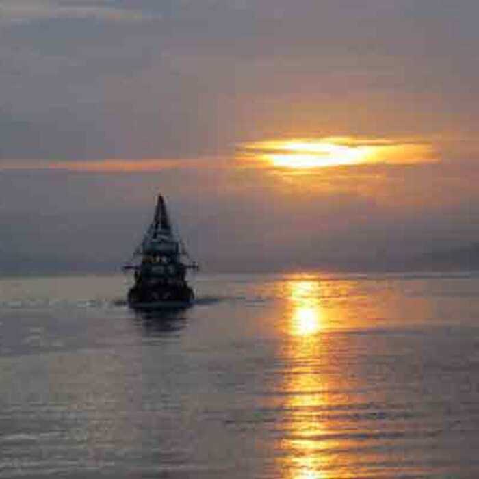 noviq-film_700x700_crop_478b24840a