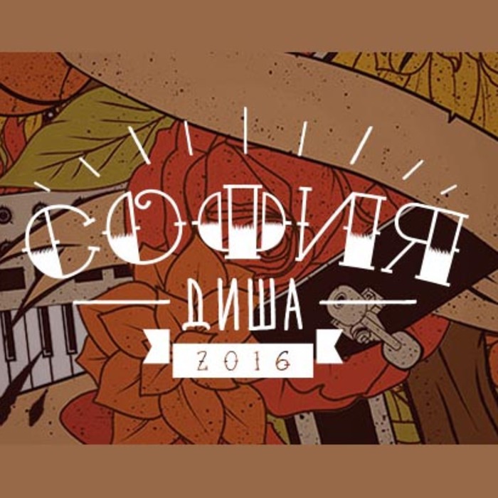 sofiq-disa_700x700_crop_478b24840a