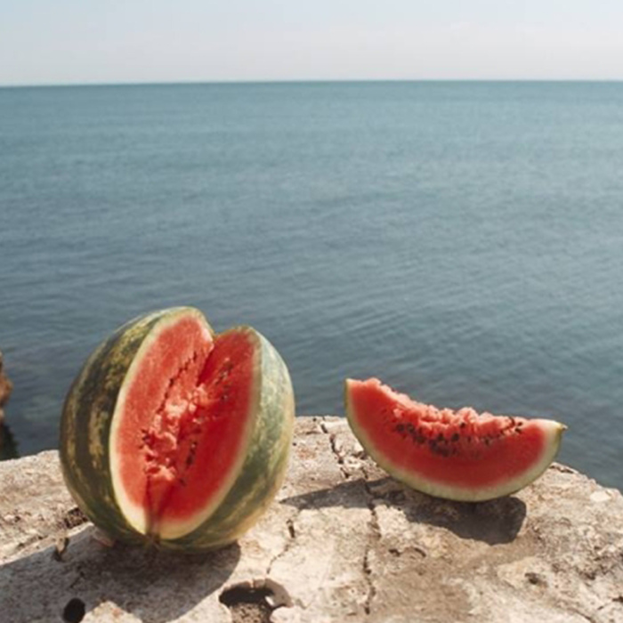 fotoobektiv-final_700x700_crop_478b24840a