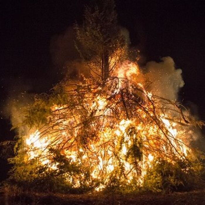 cestvaniq_700x700_crop_478b24840a