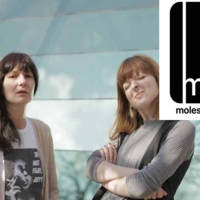 moleskin_700x700_crop_478b24840a