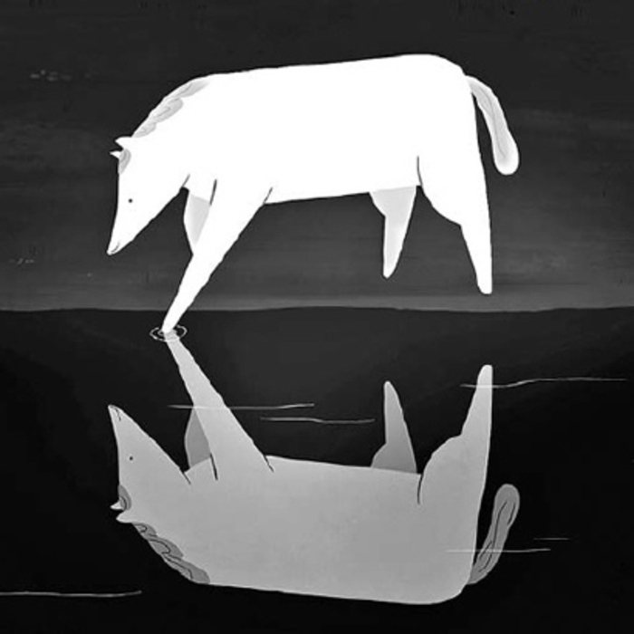 7-korica_700x700_crop_478b24840a