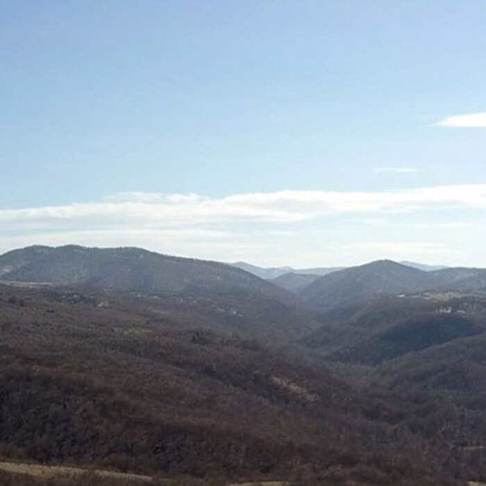 izlojba-dimitur_700x700_crop_478b24840a