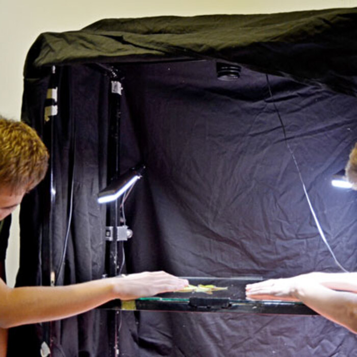 deca-pravqt_700x700_crop_478b24840a