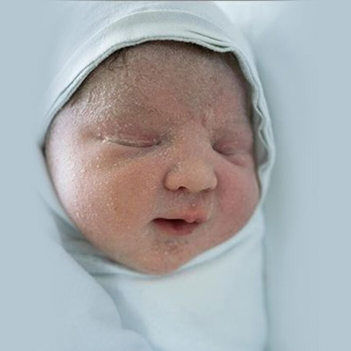 v-nachaloto_700x700_crop_478b24840a