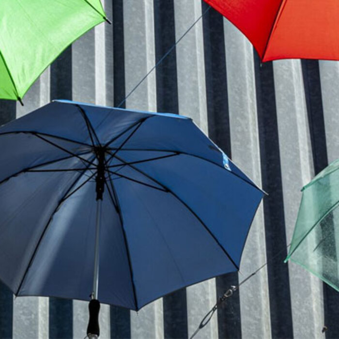 rano-pile-pronewsdobrich_700x700_crop_478b24840a