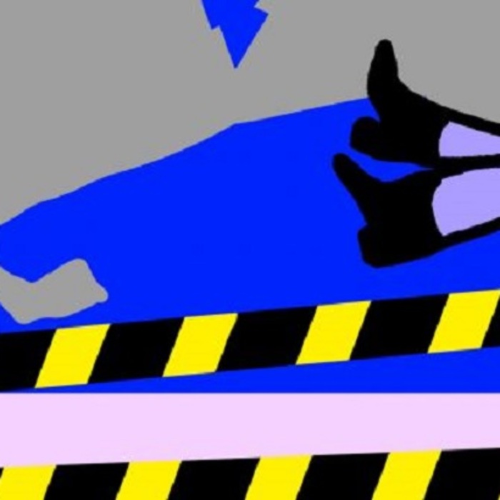 9_700x700_crop_478b24840a