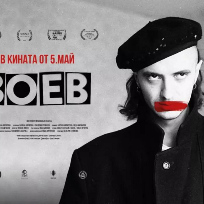 voev_700x700_crop_478b24840a