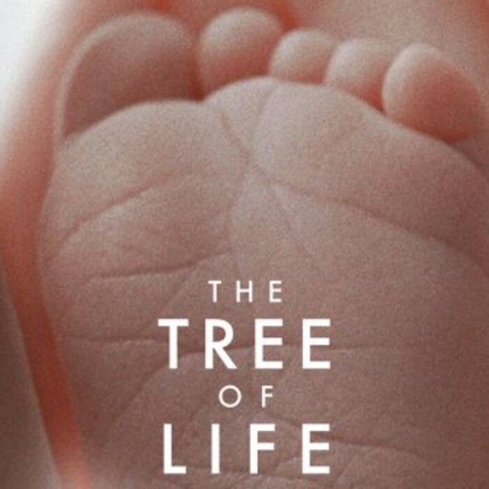 dyrvoto-na-jivota-e-naij-dobriqt-film-na-2011-g-44648_700x700_crop_478b24840a