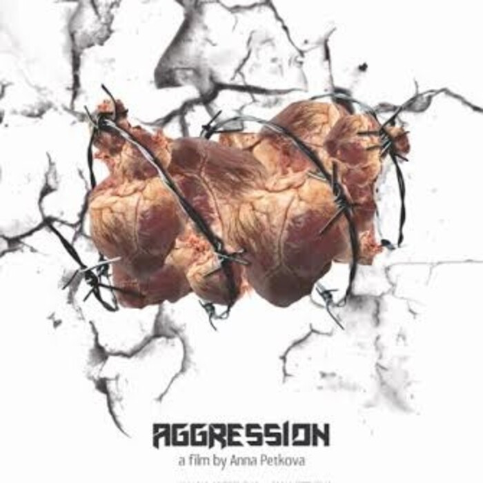 a764a240-b752-4ac1-932a-0f70bfe622be_700x700_crop_478b24840a