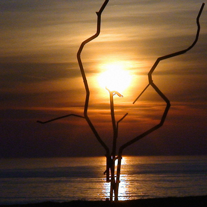 dsc00420web_700x700_crop_478b24840a