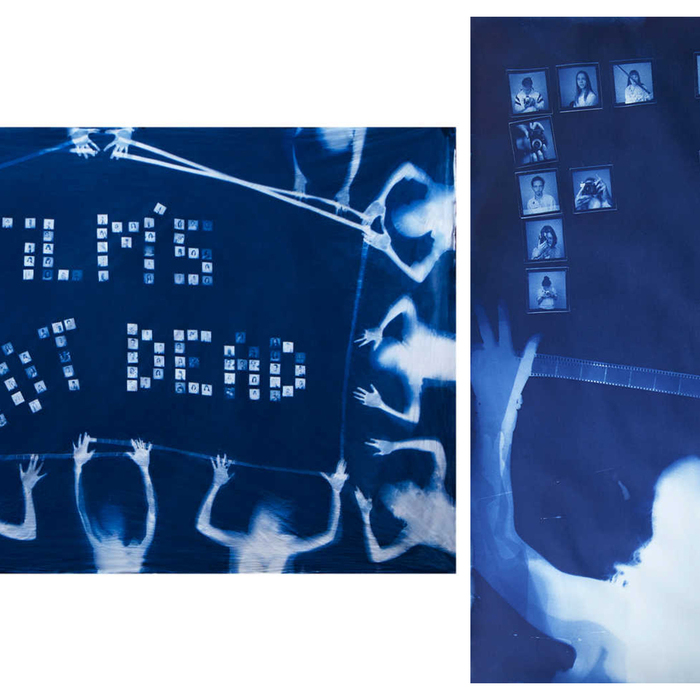 films-not-dead_700x700_crop_478b24840a