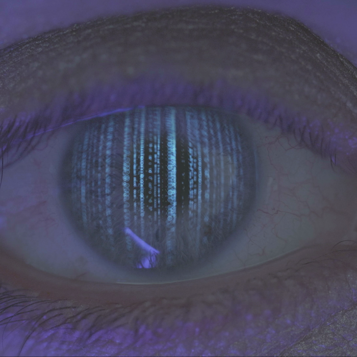 vlcsnap-2018-10-09-22h37m47s402_700x700_crop_478b24840a