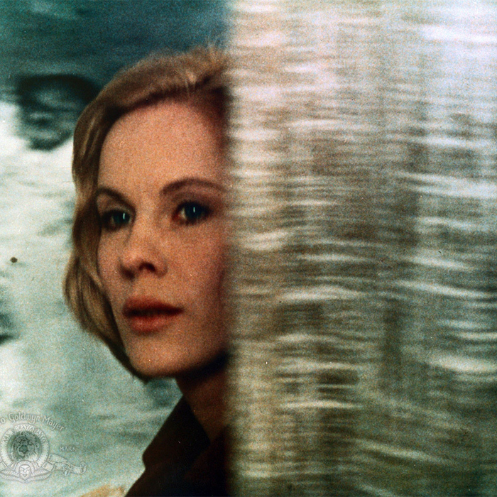 passion-site_700x700_crop_478b24840a